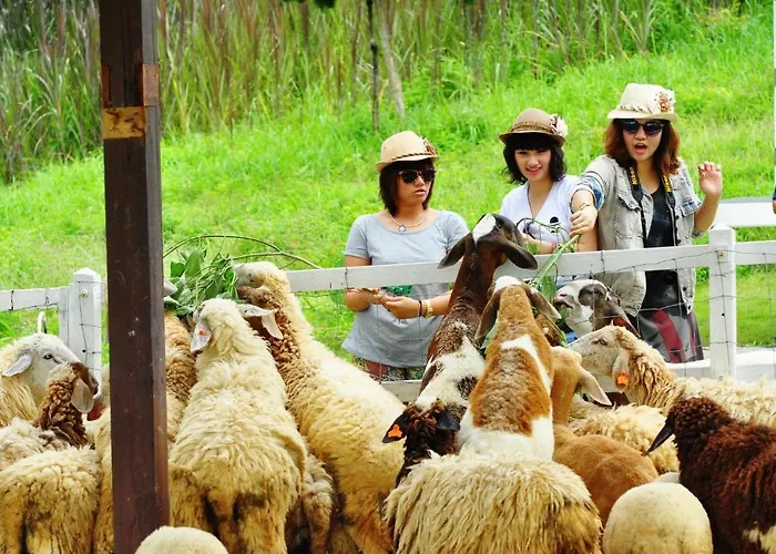 Aristo Chic & Farm รีสอร์ท 4*