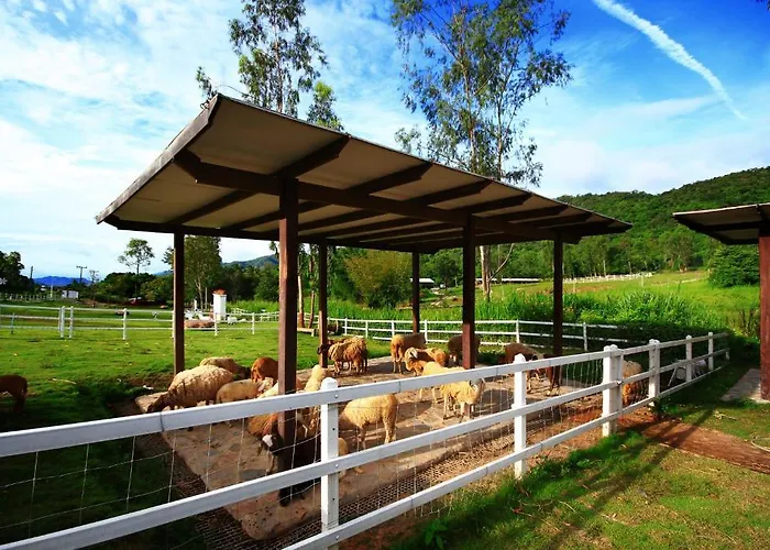 Aristo Chic & Farm 4*